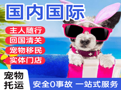 天河航空邮寄国际宠物托运 【国